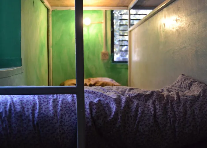 Fireflies * Kathmandu